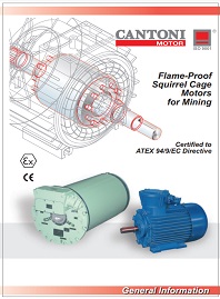 Каталог Электродвигатели с огнезащитой Cantoni